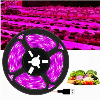 YzzKoo DC 5V USB LED Grow Light Полный спектр 1-3 м Растительный Светильник Для Выращивания светодиодной Ленты Фито-Лампа для Выращивания Рассады Овощей и Цветов, Палатка для Выращивания
